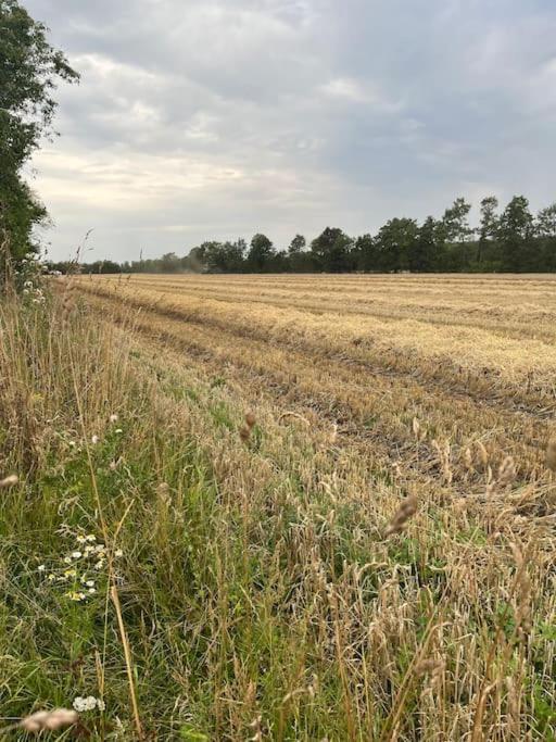 Billund, Legoland, Skjern A, Fiskeri, Herning. Tarm Bagian luar foto